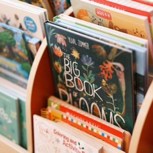 Parenting Resources eBooks